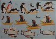 3D knipvel (A4) --- PINGUIN-PINGUINS --- Wekon W79633 --- Diverse afbeeldingen - 1 - Thumbnail