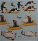 3D knipvel (A4) --- PINGUIN-PINGUINS --- Wekon W79633 --- Diverse afbeeldingen - 3 - Thumbnail