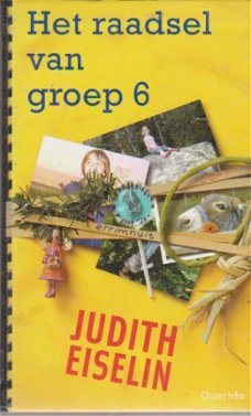 Het raadsel van groep 6 - Judith Eiselin