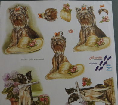 3D knipvel (A4) --- HOND-HONDEN --- Nouvelle 821550 --- YORKSHIRE TERRIER en een ZWART-WITTE HOND me - 2