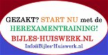 Bijlessen en studiebegeleiding (wiskunde, natuurkunde, scheikunde etc) - 4 - Thumbnail