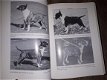 FULL CIRCLE- A HISTORY OF THE COLOURED BULL TERRIER by DAVID O HARRIS- SIGNED - 2 - Thumbnail