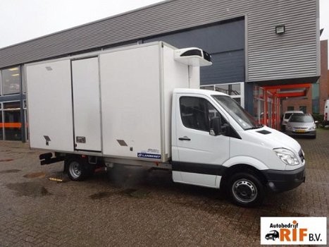 Mercedes-Benz Sprinter - 516 CDI Koelkoffer Carrier 230V - 1