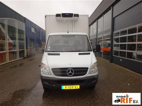 Mercedes-Benz Sprinter - 516 CDI Koelkoffer Carrier 230V - 1