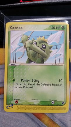 Cacnea 58/100 Ex Sandstorm - nr. 1