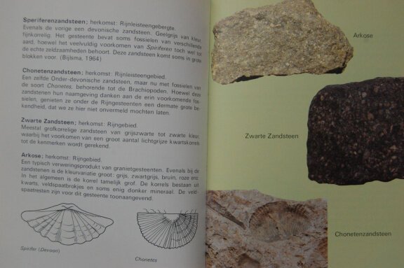 Elseviers Zwerfstenengids - Afbeelding 2
