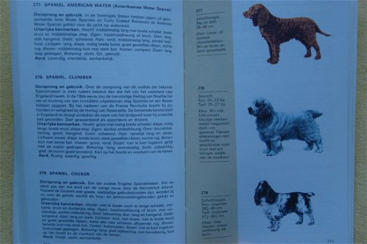 Elseviers hondengids - 3