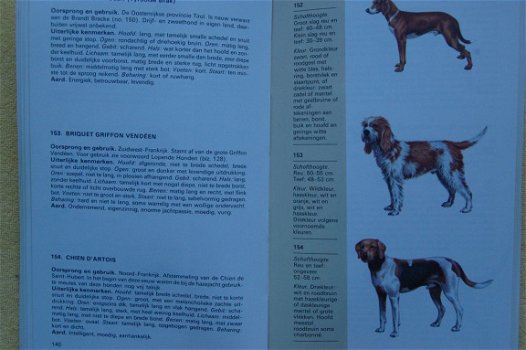 Elseviers hondengids - 4