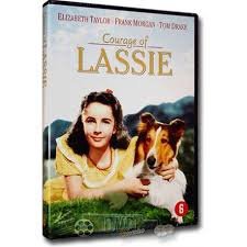 Courage Of Lassie (DVD) - 1