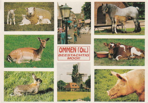 Ommen Beestachtig mooi - 1