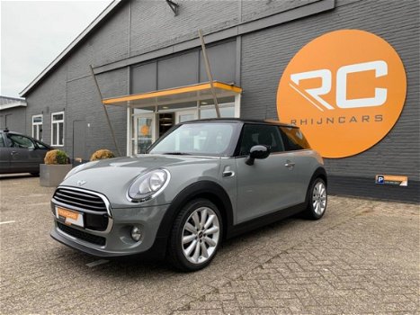 Mini Mini Cooper - Salt/JCW interieurpakket/17'' LM - 1