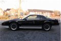 Pontiac Firebird - 5.0 | TRANS AM - 1 - Thumbnail