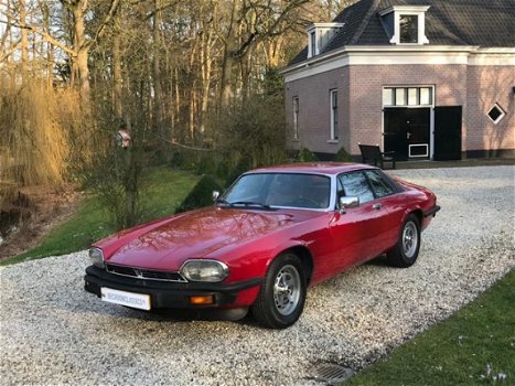 Jaguar XJS - Xj-s 5.3 V12 Coupe Origineel NL #RIJKLAAR - 1