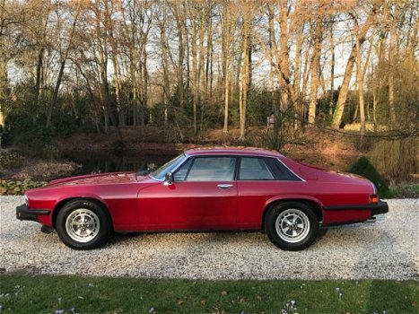 Jaguar XJS - Xj-s 5.3 V12 Coupe Origineel NL #RIJKLAAR - 1