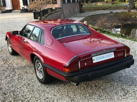 Jaguar XJS - Xj-s 5.3 V12 Coupe Origineel NL #RIJKLAAR - 1