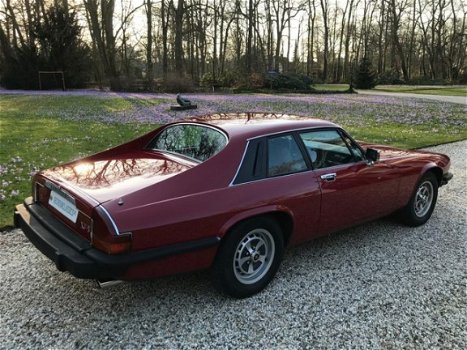 Jaguar XJS - Xj-s 5.3 V12 Coupe Origineel NL #RIJKLAAR - 1