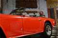 Triumph TR6 - Cabrio - 1 - Thumbnail