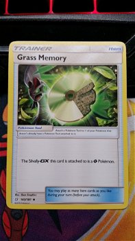 Grass Memory 143/181 Team up - 1