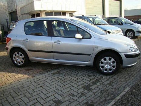 Peugeot 307 - 1.6-16V XS - 1