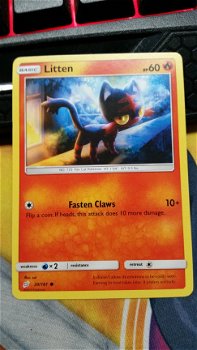 Litten 20/181 Team up - 1