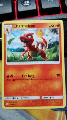 Charmeleon  13/181 Team up