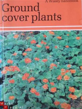 Ground cover plants - 1
