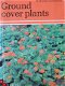 Ground cover plants - 1 - Thumbnail