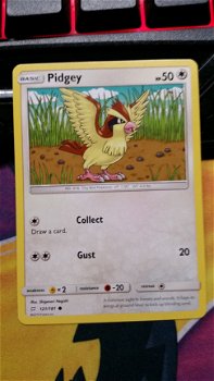 Pidgey 121/181 Team up - 1