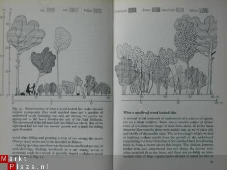 Trees and Woodland in the British Landscape - 2