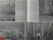 Trees and Woodland in the British Landscape - 3 - Thumbnail