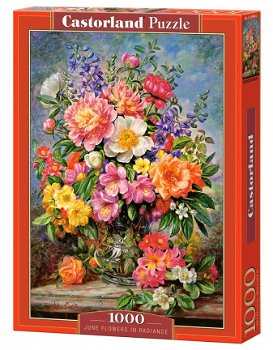 Castorland - June Flowers in Radiance - 1000 Stukjes - 2