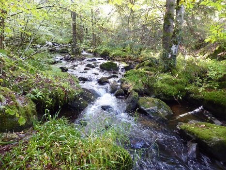 Wandelen/ mountainbiken in natuurgebied De Morvan/Bourgogne/Frankrijk ! - 1