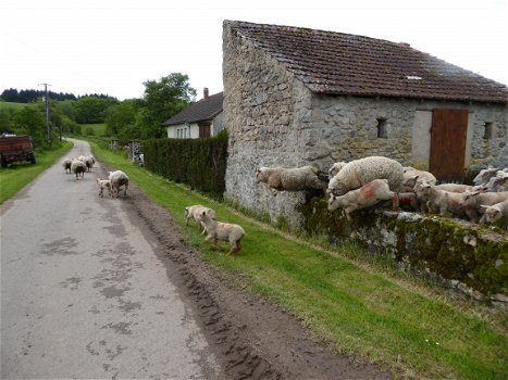 Wandelen/ mountainbiken in natuurgebied De Morvan/Bourgogne/Frankrijk ! - 5