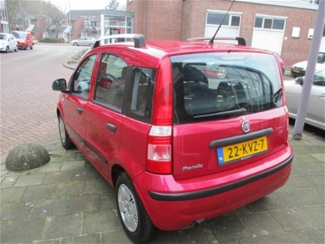 Fiat Panda - 1.2 Edizione Cool - 1