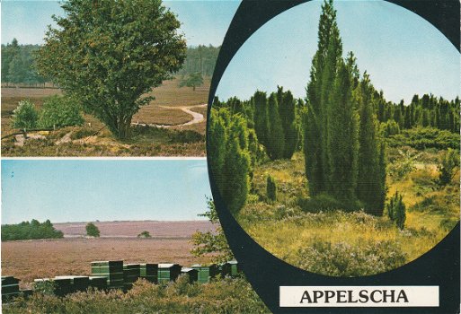 Appelscha 1977 - 1