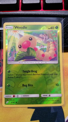 Weedle 2/181 (reverse) Team up