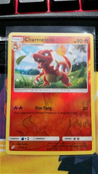 Charmeleon 13/181 (reverse) Team up - 1