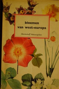 Bloemen van Westeuropa