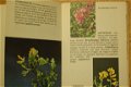 Bloemen van Westeuropa - 3 - Thumbnail