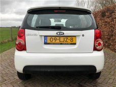 Kia Picanto - 1.0 X-ecutive CLIMA ELEK RAMEN NAP