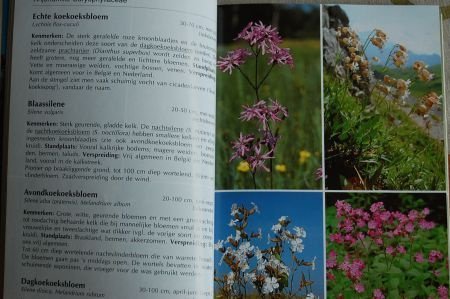 Complete Natuurgids: Bloemen - Afbeelding 2