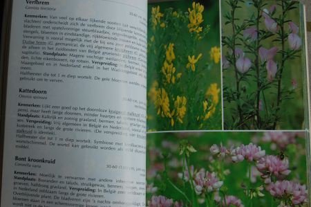 Complete Natuurgids: Bloemen - Afbeelding 3