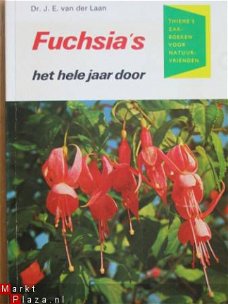 Fuchsia's, het hele jaar door