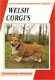 WELSH CORGI'S - 1 - Thumbnail