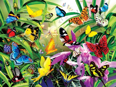 SunsOut - Tropical Butterflies - 1000 Stukjes Nieuw - 1