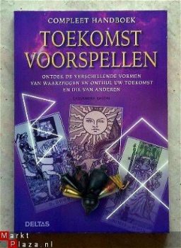 Toekomst voorspellen, compleet handboek - 1