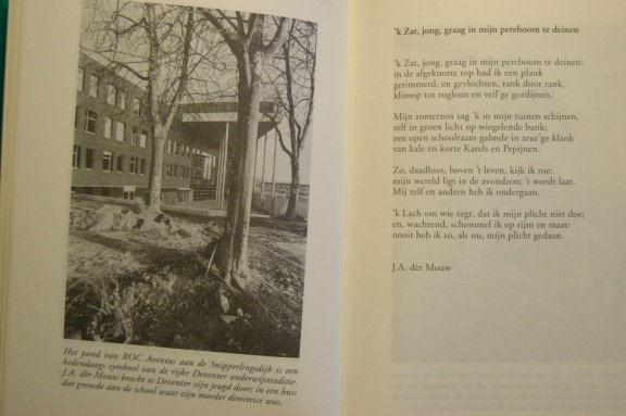Overijssel in letteren - Afbeelding 3