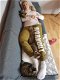 Savannah kittens - 7 - Thumbnail