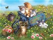 SunsOut - Kittens on a Field Trip - 1000 Stukjes Nieuw - 1 - Thumbnail