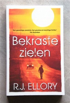 Bekraste zielen R.J. Ellory - 1